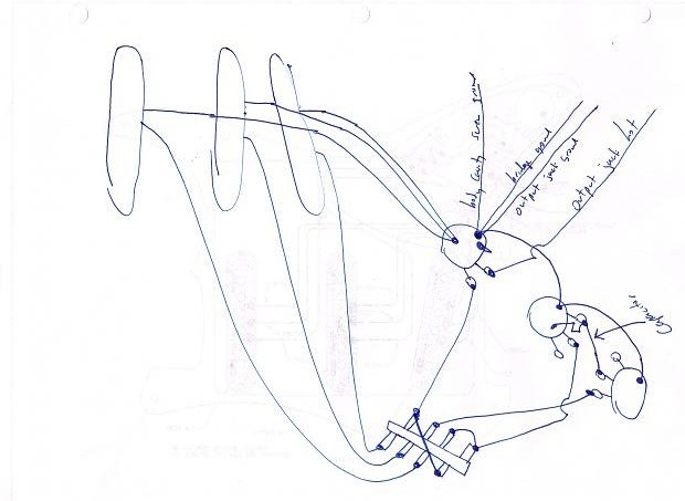 wiring-AM Dlx strat.jpg