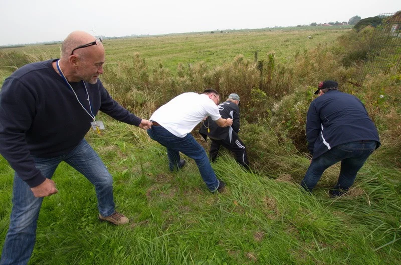 Wo ist der Klot.webp