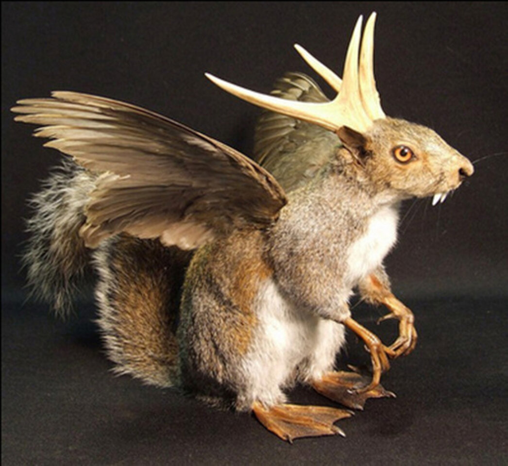 Wolpertinger.jpg