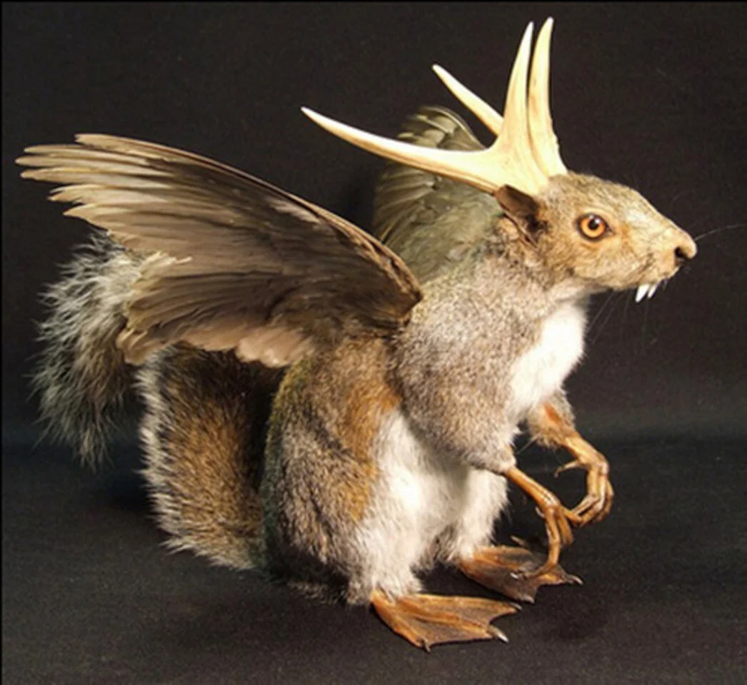 Wolpertinger.jpg