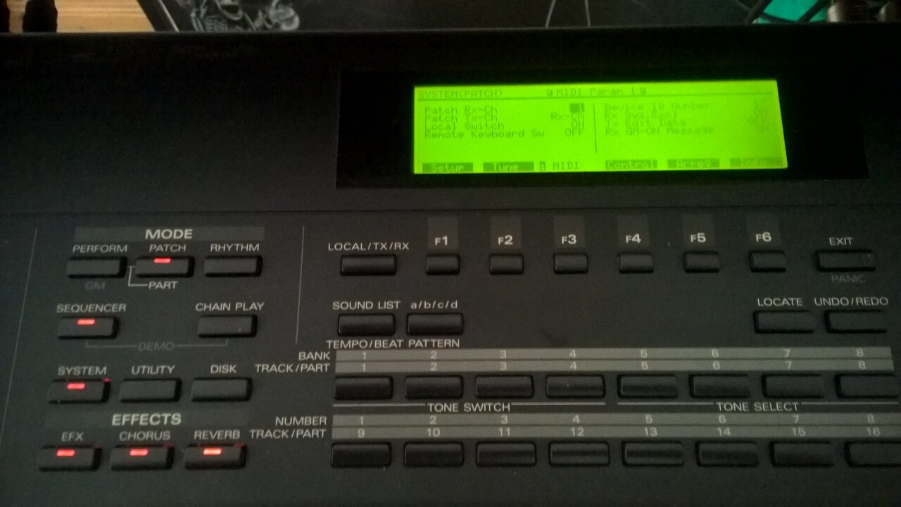 WP_20230422_09_45_15_Pro.jpg