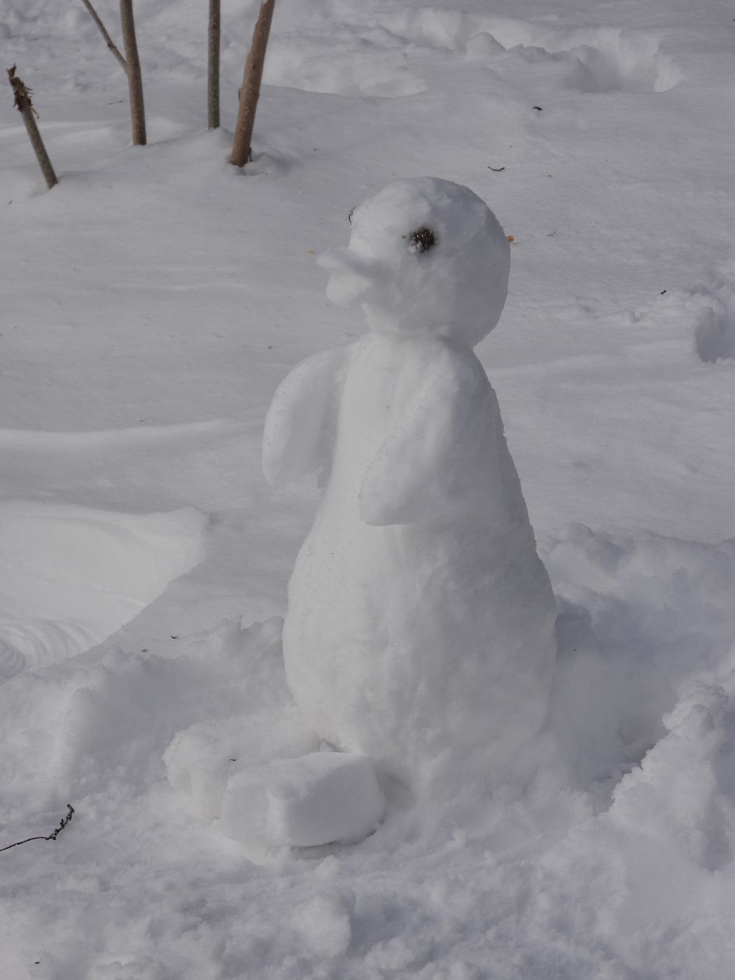 x2 snow penguin - wm-park 11.1 1.jpg