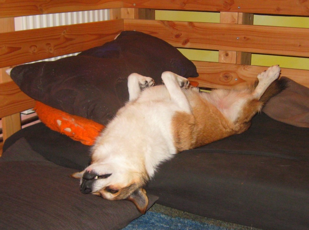 yoga.jpg
