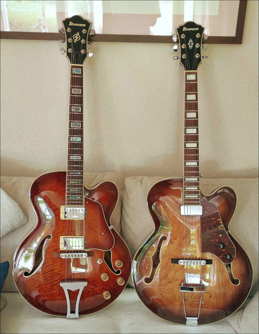 zwei_Ibanez.jpg