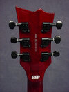 V400-STBC_headstock-back.jpg