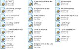 blumentopf - kein zufall.JPG