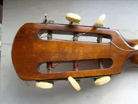 Kopf RÃ¼cks_52.webp
