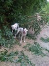 IMG_0991.jpg