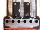 tremolo just. gross.jpg