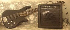 Vi-Bass2.jpg