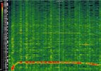 The Cage Spectrogram.jpg