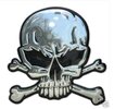 skull sticker.jpg