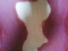 DSC-0000196.jpg