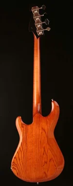 SevernBass4Back_.webp SevernBass4Back_.webp
