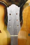 headstock.webp headstock.webp