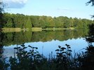 IMG_klein3810.jpg
