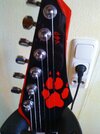 DSC00149.jpg