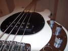 Stingray2.jpg