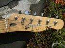 Squier Tele Kopf kompl_resized.webp