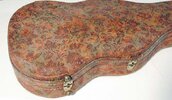 guitar_case4.jpg