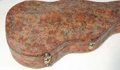guitar_case4.webp