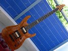 ESP Horizon  USA Custom.jpg