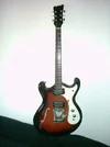 Mosrite - Kopie.webp