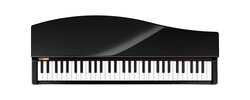 microPIANO_black_MAIN_634302592951930000.jpg