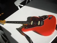 Jaguar1.webp