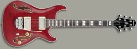 IBANEZ_AWD83T_TRD.webp