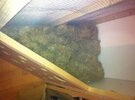 IMG_1297.JPG