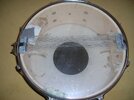 Snare_3.jpg Snare_3.jpg