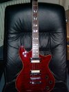 Schecter7.jpg