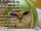 Mein Desktop0106.JPG