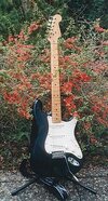 Stratocaster2137.JPG