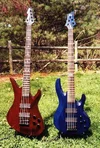 schecter-espltd.webp