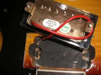 CIMG7455.webp