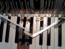 hohner_tango_IVS_taste.jpg