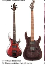 ltd.webp