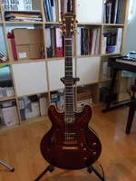 P1010719.webp
