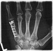 20110621_1.jpg