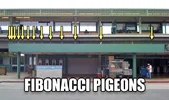 Fibonacci Pigeons.webp