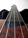 Warwick Thumb NT 5-String_Griffbrett_board.JPG