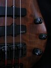 Warwick Thumb NT 5-String_Detail1_board.JPG