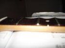 DSC01816.jpg
