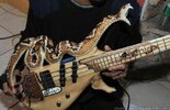 snake-guitar.jpg