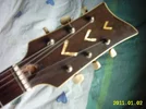 semei_klira_odernicht_headstock.webp