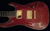Schecter C1 Elite 1.webp