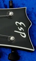 ESP-Logo.webp