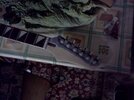 IMG007.jpg IMG007.jpg